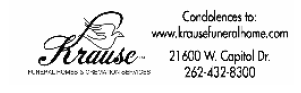 link logo