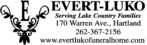 link logo