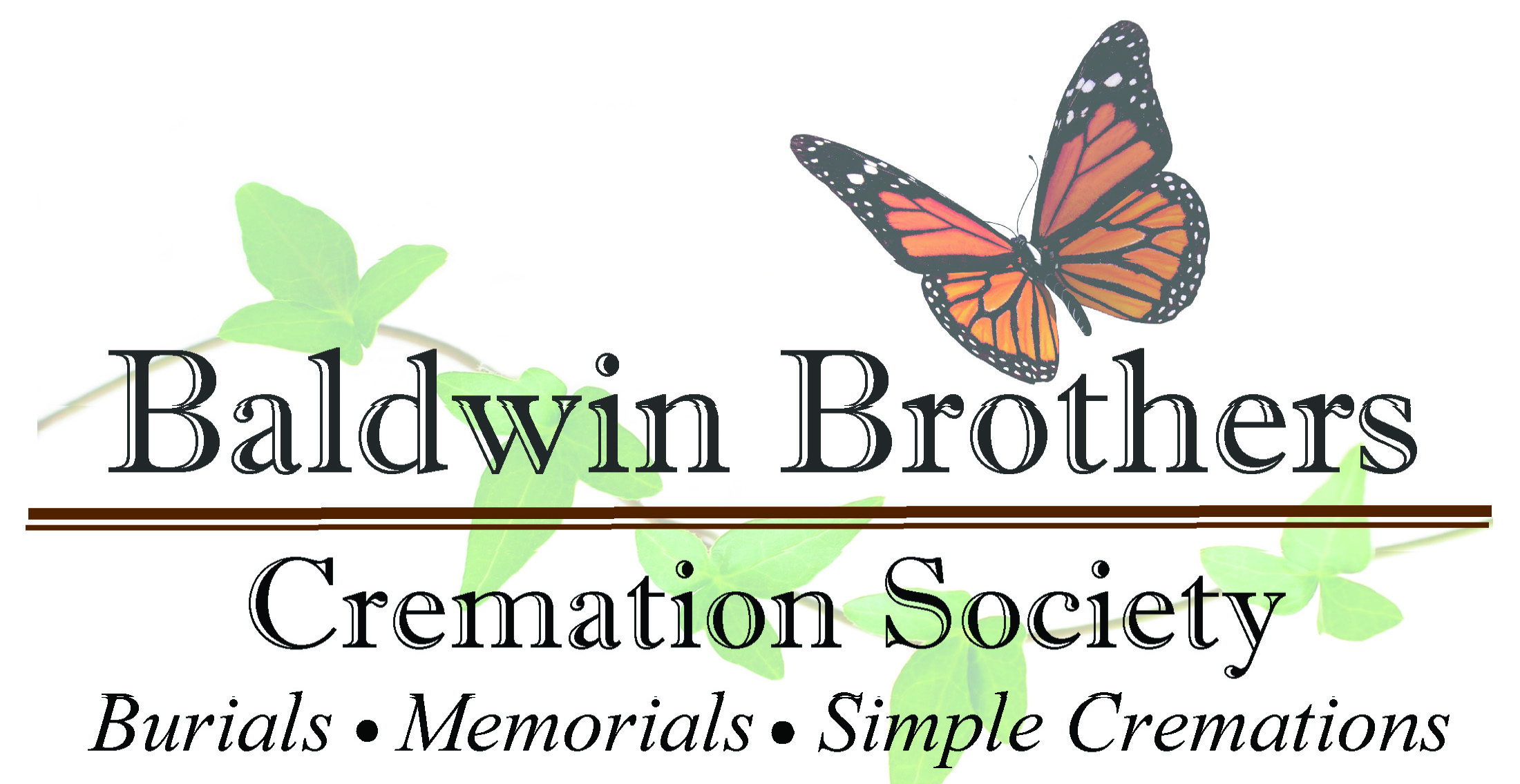 link logo