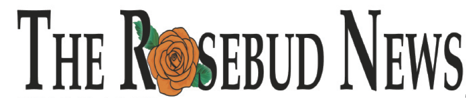 link logo